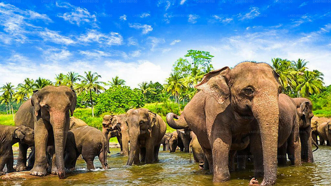 Beauty of Sri Lanka